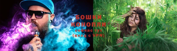 ешки Арсеньев