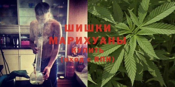 ешки Арсеньев