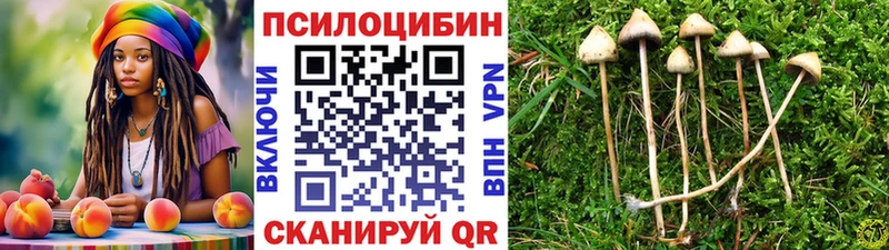 Псилоцибиновые грибы MAGIC MUSHROOMS  Горячеводский 